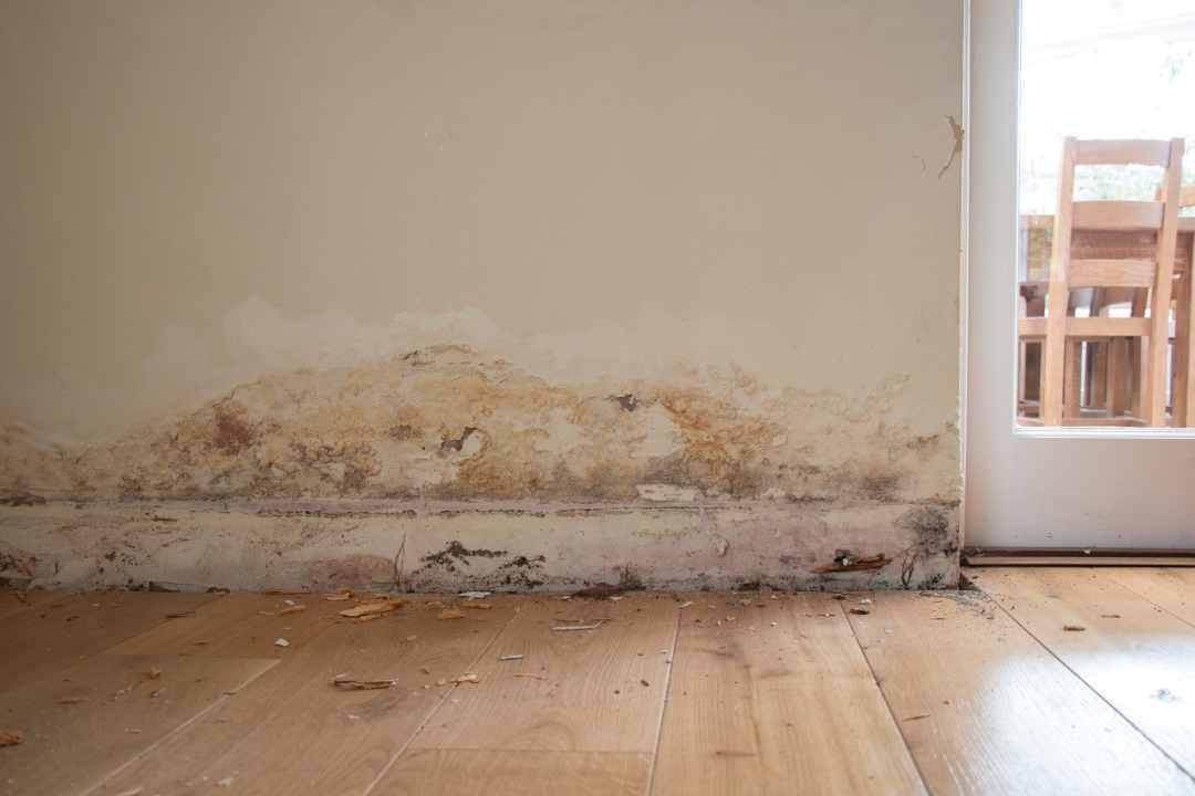 Cum se detectează și elimină infiltrarea apei