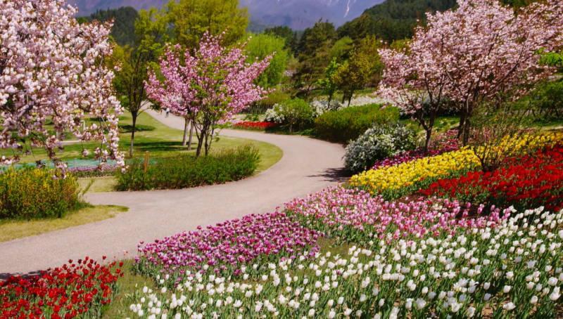 20968 why is it important to maintain your yard