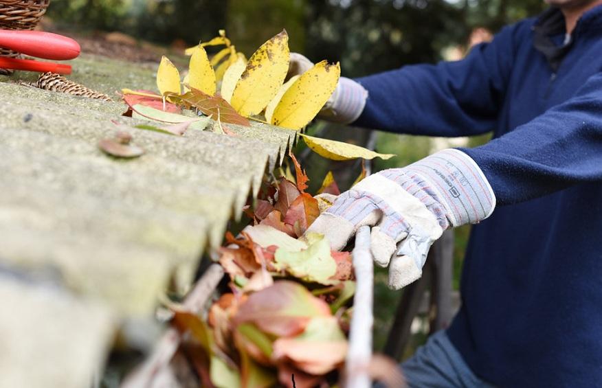 8 moduri excelente de a rămâne inspirat în timp ce lucrați de acasă 15 Cum să curățați blaturile
