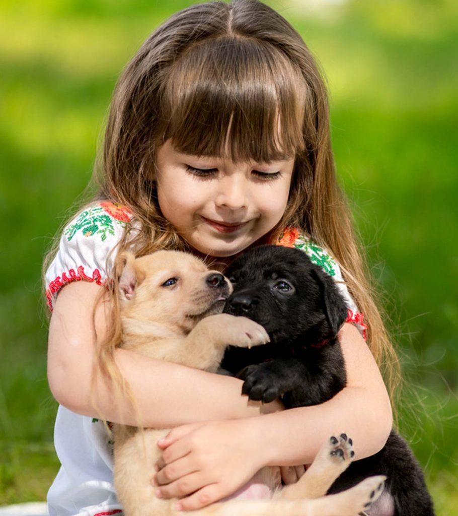 6 Cele mai bune animale de companie mici pentru copii și avantajele și dezavantajele de a le avea 25 23459 11 best small pets for kids and pros cons of having them