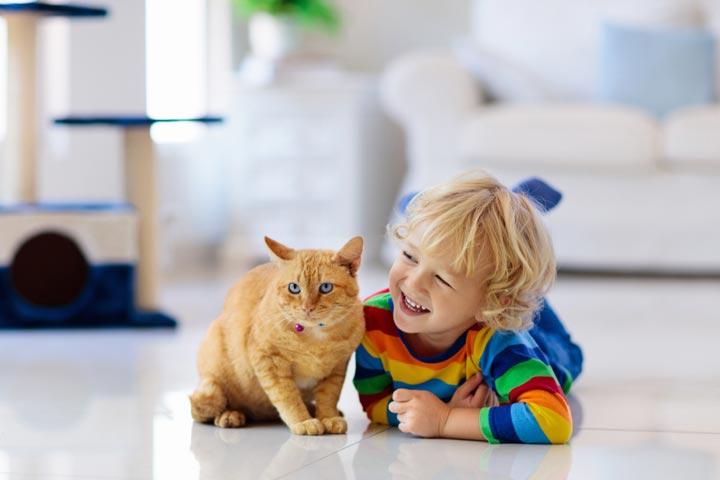 Cats as best pets for kids Cats as best pets for kids