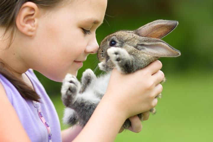 Rabbits as best pets for kids Rabbits as best pets for kids