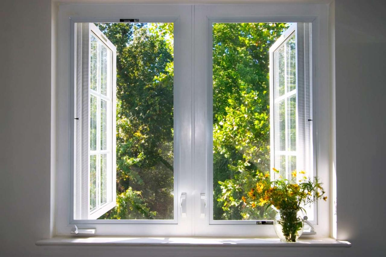 Modul corect de a curăța ferestrele 15 Utilizarea unui aspirator nepotrivit pentru tipul de podea: Cum să alegeți corect și să evitați daunele în timp.