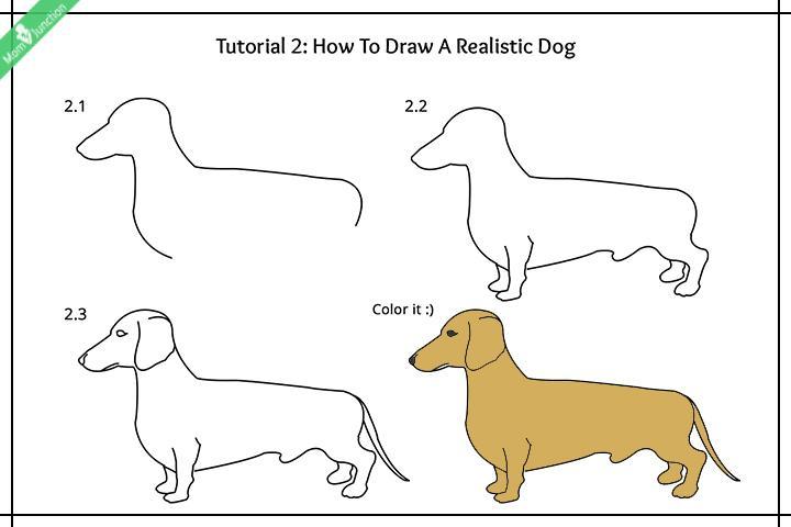 How to draw a dog for kids, realistic dog How to draw a dog for kids, realistic dog