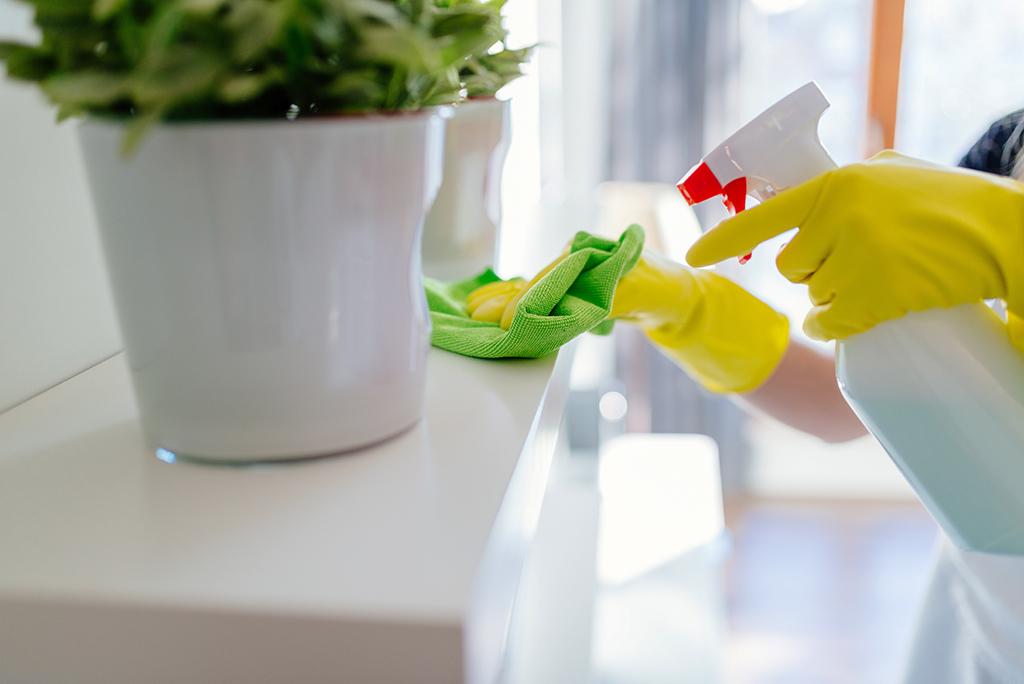 34 Produse de curățenie esențiale de care fiecare casă are nevoie 4 cleaning supplies